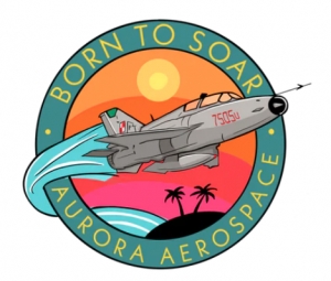 Primary image for the Take the Ride of Your Life in the MiG-21 Military Jet Auction Item