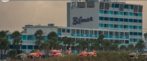 Secondary image for the Escape to Bilmar Beach Resort, Treasure Island Auction Item