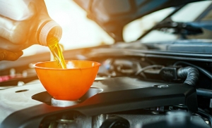 Secondary image for the 1 Year Free Oil Change at Oldsmar Oil Express Auction Item