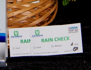 Secondary image for the Hit the Driving Range at The Downs Golf Practice Facility Auction Item