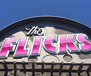 Primary image for the THE FLICKS MOVIE PASS Auction Item