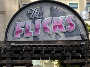 Secondary image for the THE FLICKS MOVIE PASS Auction Item