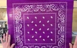Secondary image for the BANDANNA RUNNING & WALKING STORE Auction Item