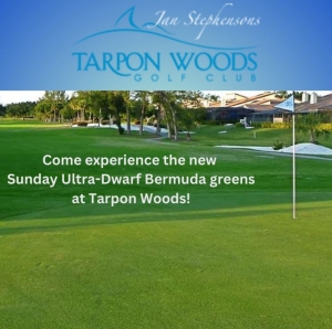Primary image for the Golf for Four at Tarpon Woods Golf Club Auction Item