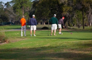 Secondary image for the Golf for Four at Tarpon Woods Golf Club Auction Item