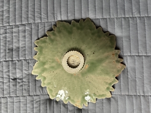 Secondary image for the HANDMADE CERAMIC PLATE Auction Item