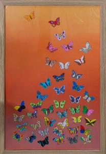 Primary image for the 3A - Butterfly Beauties Auction Item